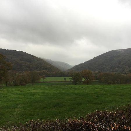 Llys Y Coed Villa Brechfa Cameră foto