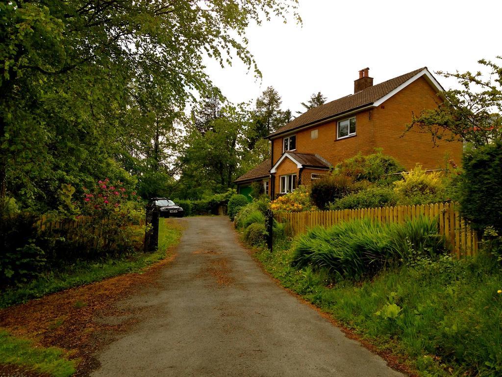 Llys Y Coed Villa Brechfa Cameră foto